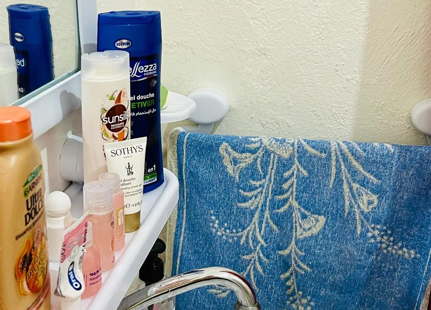 Appartement Un Studio Au Centre Ville De Tunis